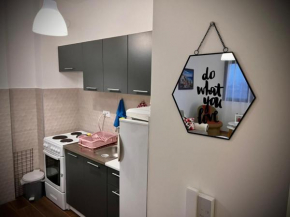 Flower and Love Flat Next to centar of podgorica